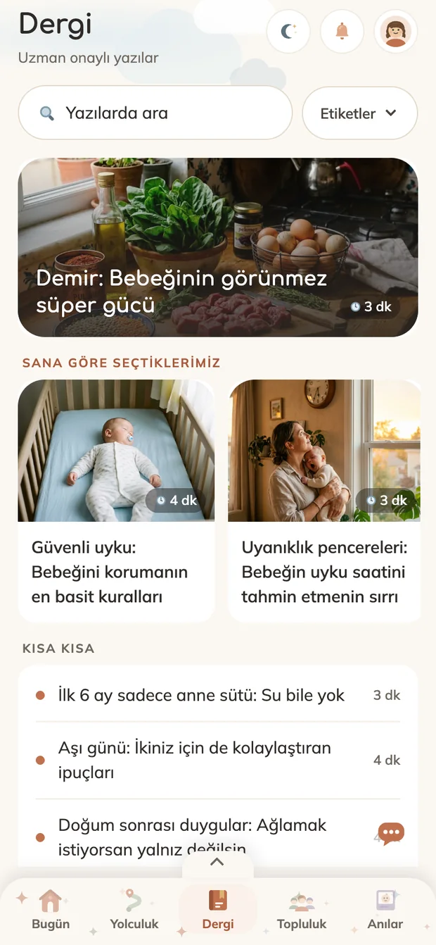 Dergi ekranı: gebelik ve bebek yazıları