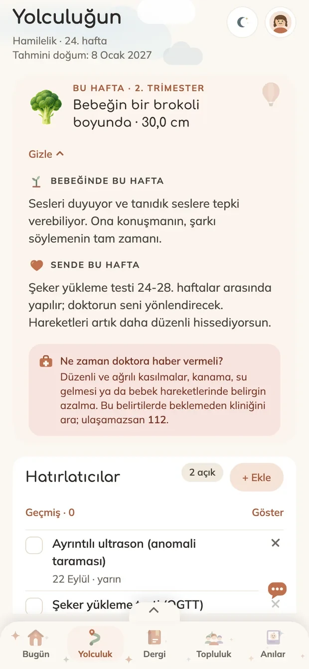 Yolculuk ekranı: bu hafta bebekte ve sende neler oluyor, ne zaman doktora haber vermeli, hatırlatıcılar
